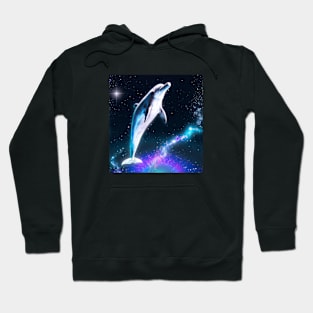 dolphin in space Hoodie